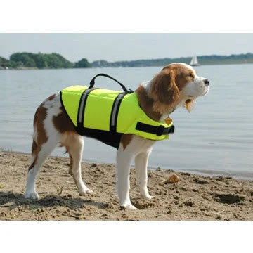  -Non-toxic pet toy recommendationsPaws Aboard Yellow Dog Life Jacket