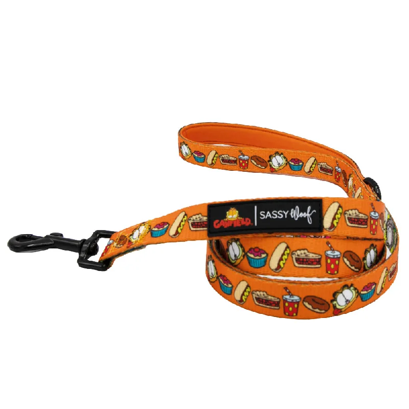  -Anti-scratch sofa protective coverDog Leash - Garfield™