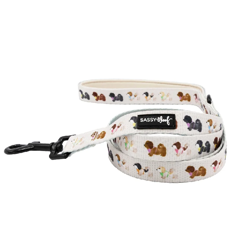 - Foldable and portable cat bagDog Leash - Spunky Shih Tzus