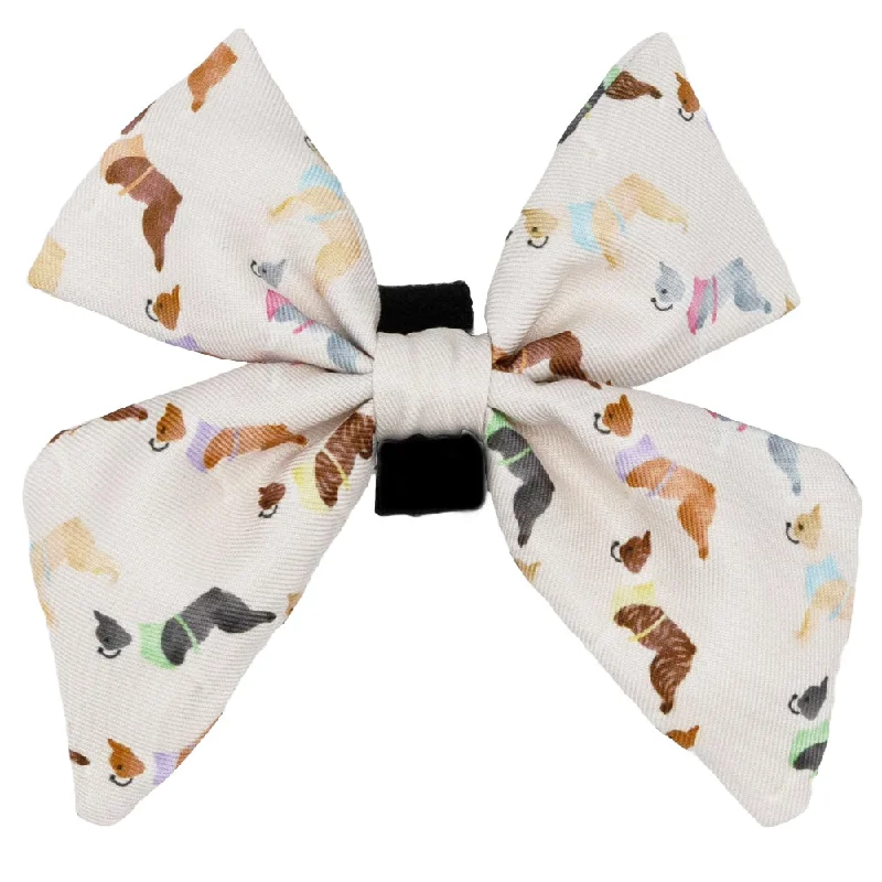 - ​​Pet toys under 10 yuanDog Sailor Bow - Bold Boston Terriers