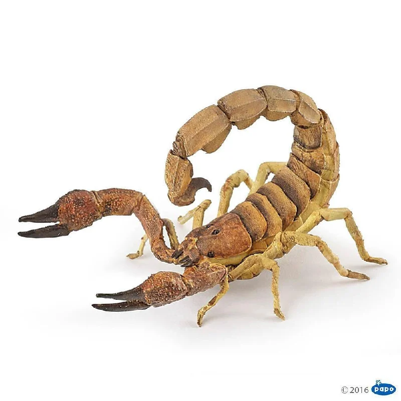 - Remote interactive pet feederpapo scorpion