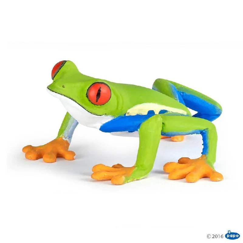 - Natural latex pet mattresspapo red eyed tree frog