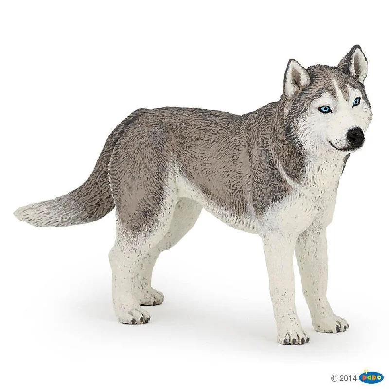 - Elderly dog ​​joint care mattresspapo husky