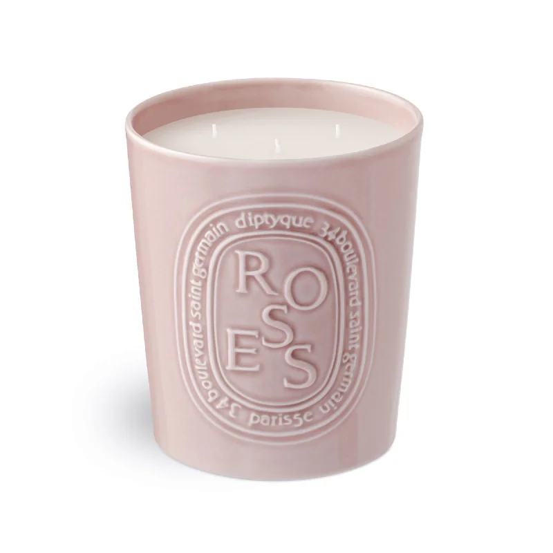 - Winter warm clothes for short-haired dogsdiptyque Paris Rose Candle (600 g) #10085726