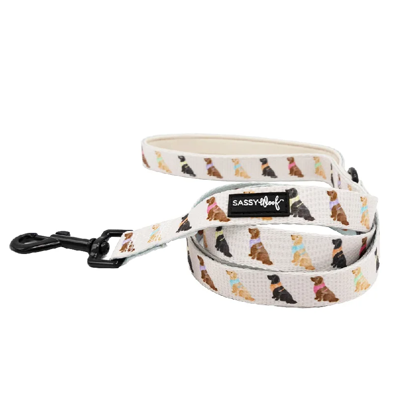  -Anti-scratch sofa protective coverDog Leash - Loyal Labradors