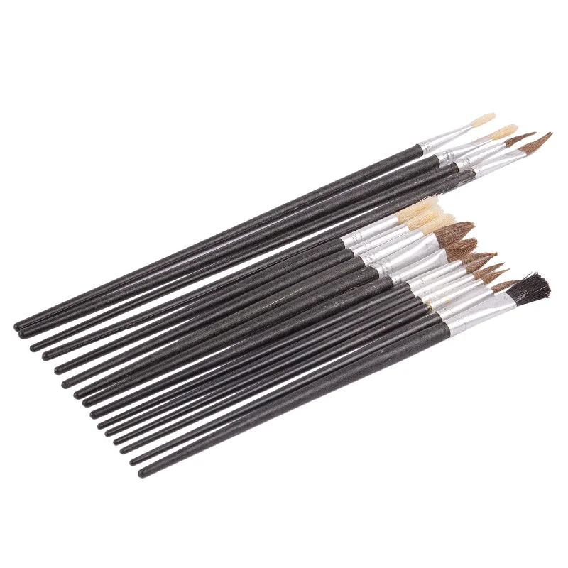 - Parrot climbing and standing wooden frame15pc Black Wooden Artist's Paint Brush Set - By Blackspur