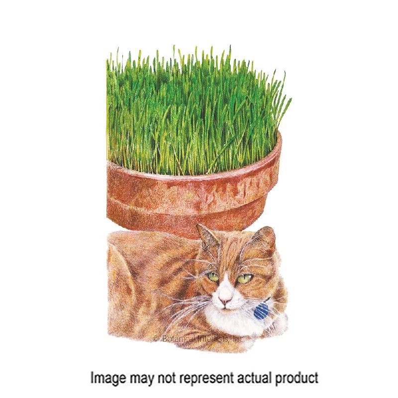 - Pregnant cat delivery room warming boxCat Grass Seed